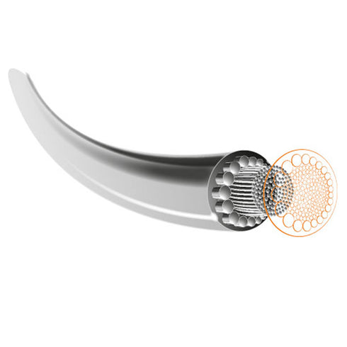 VELOCITY MLT