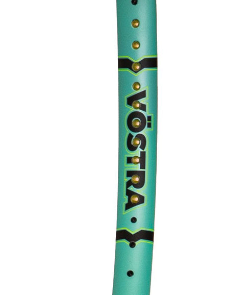VÖSTRA V4