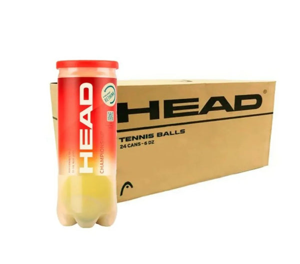 HEAD CHAMPIONSHIP KOYTA 24X3 NEW